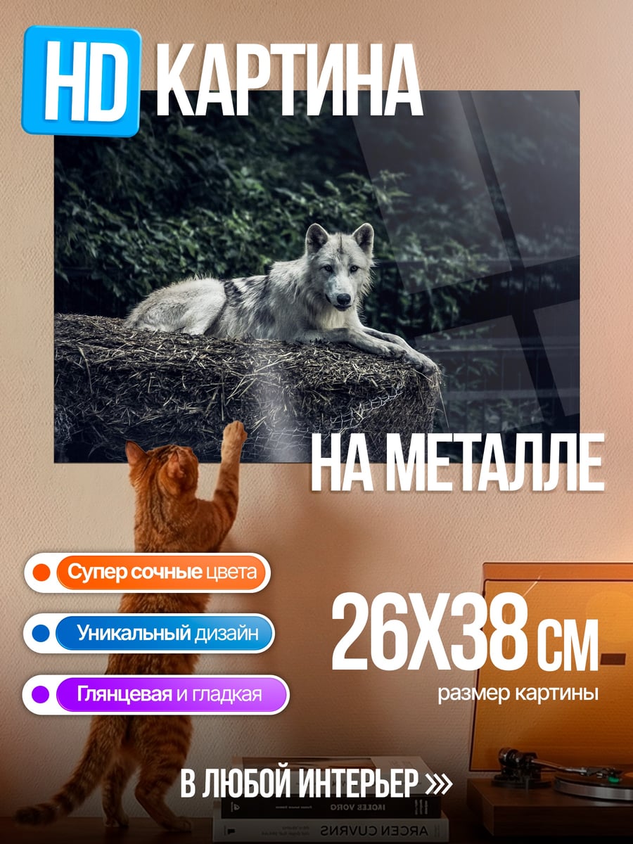 Картина на металле Злой дракон