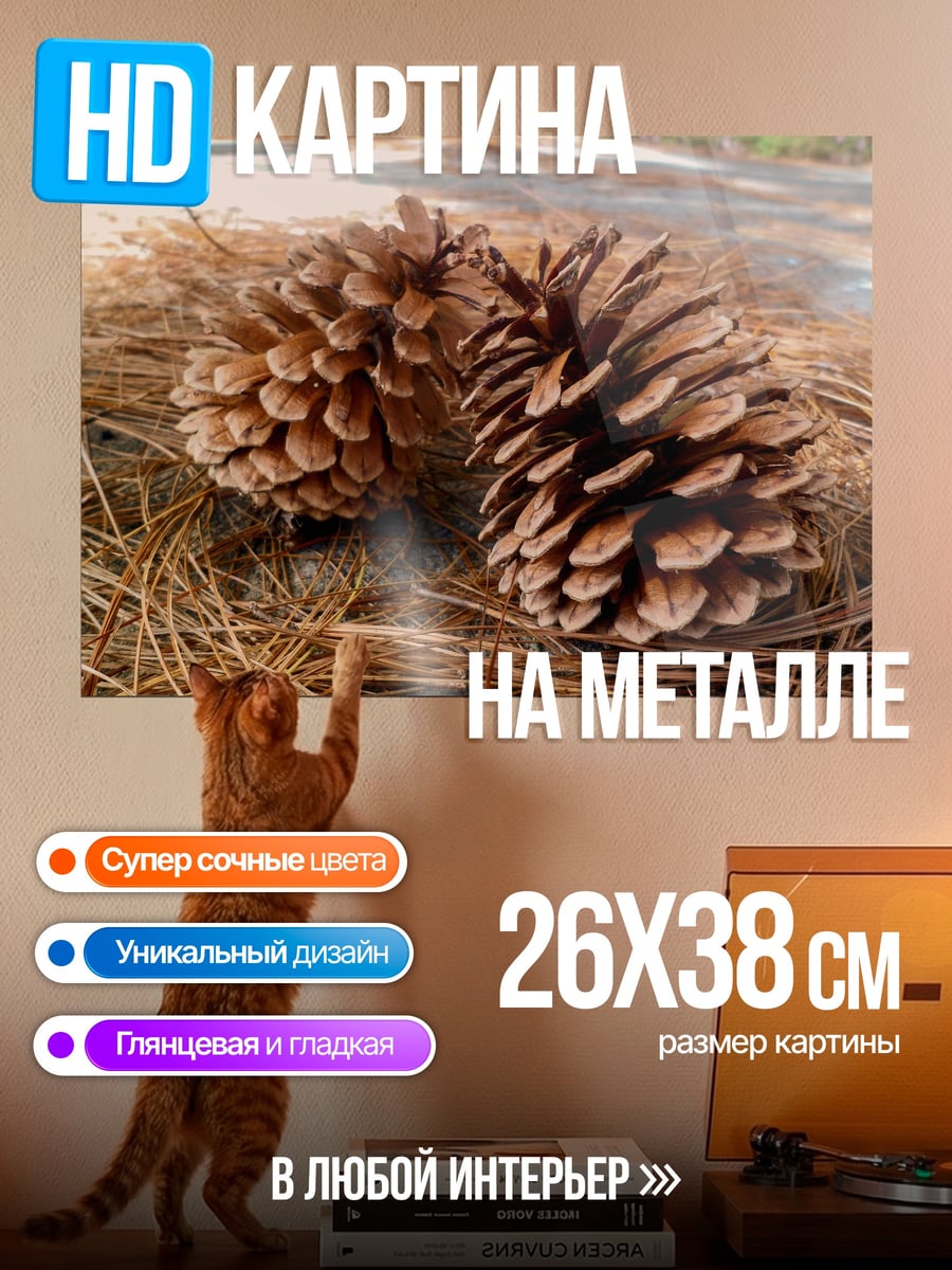 Картина на металле сосновые шишки