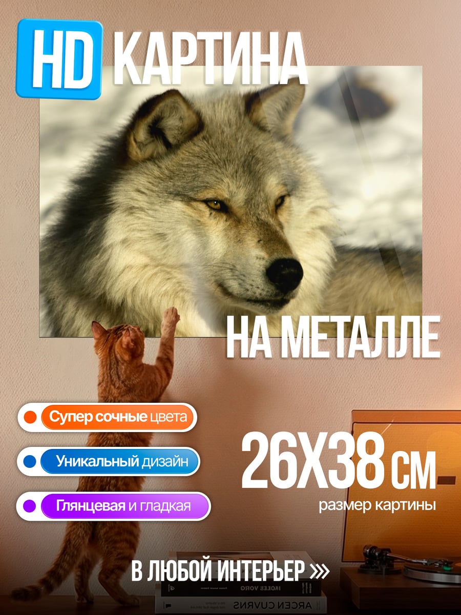 Картина на металле портрет волка