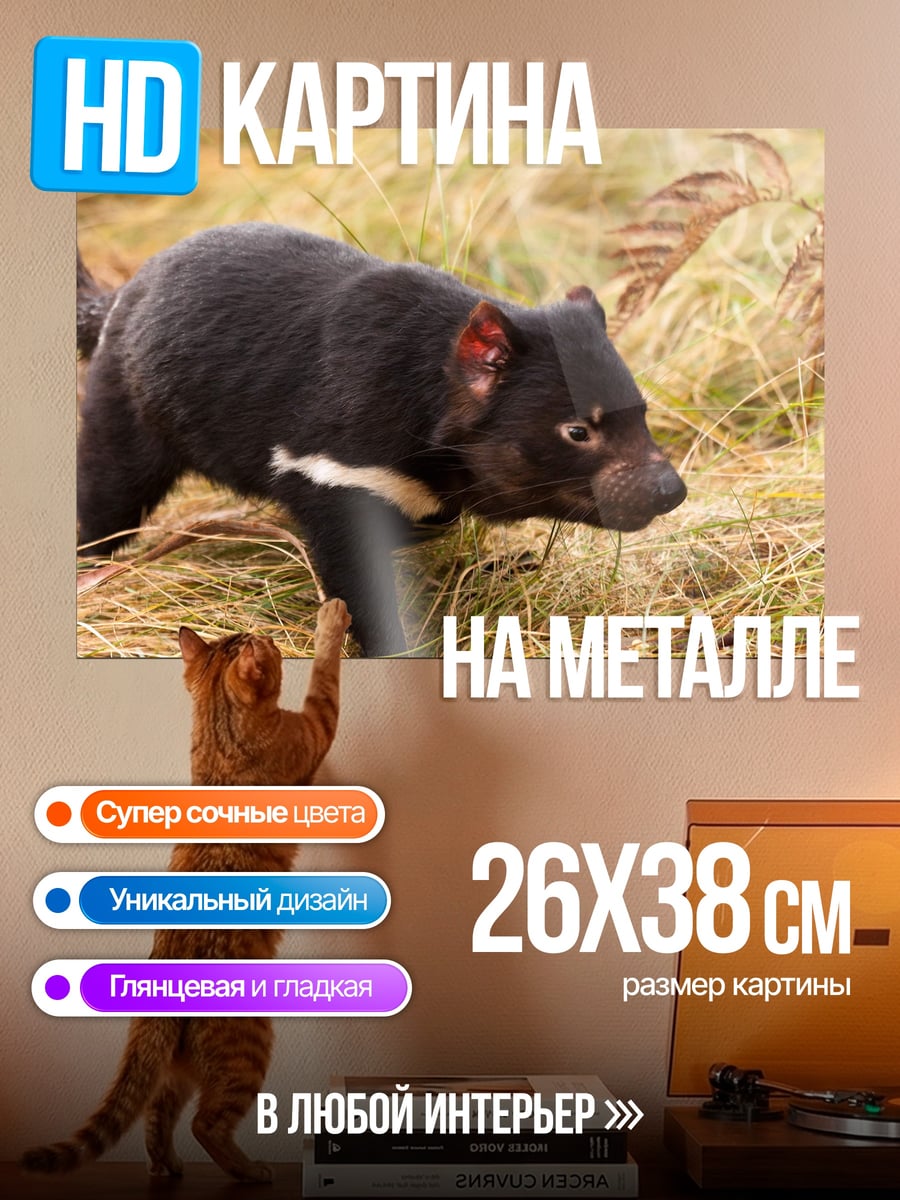 Картина на металле Тасманийский дьявол