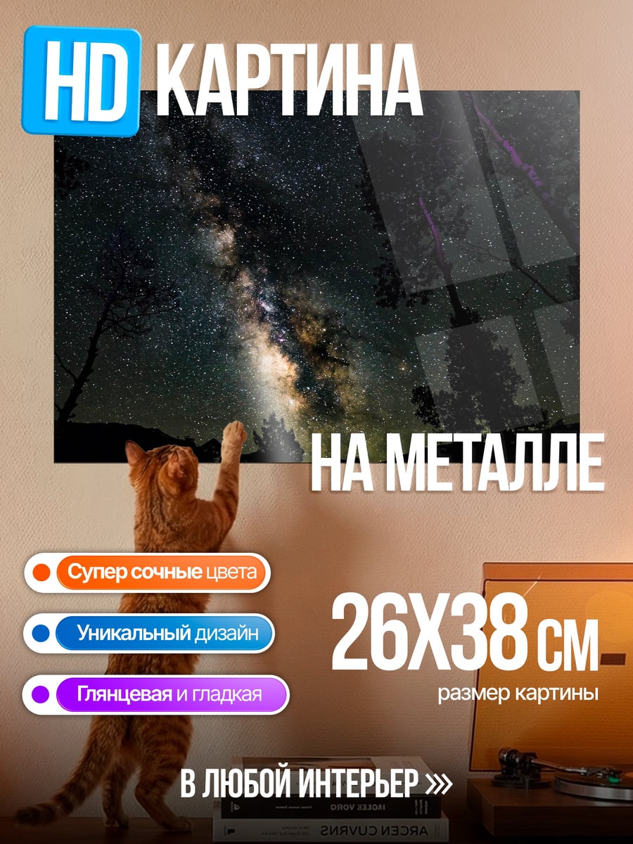 Картина на металле Млечный путь над лесом