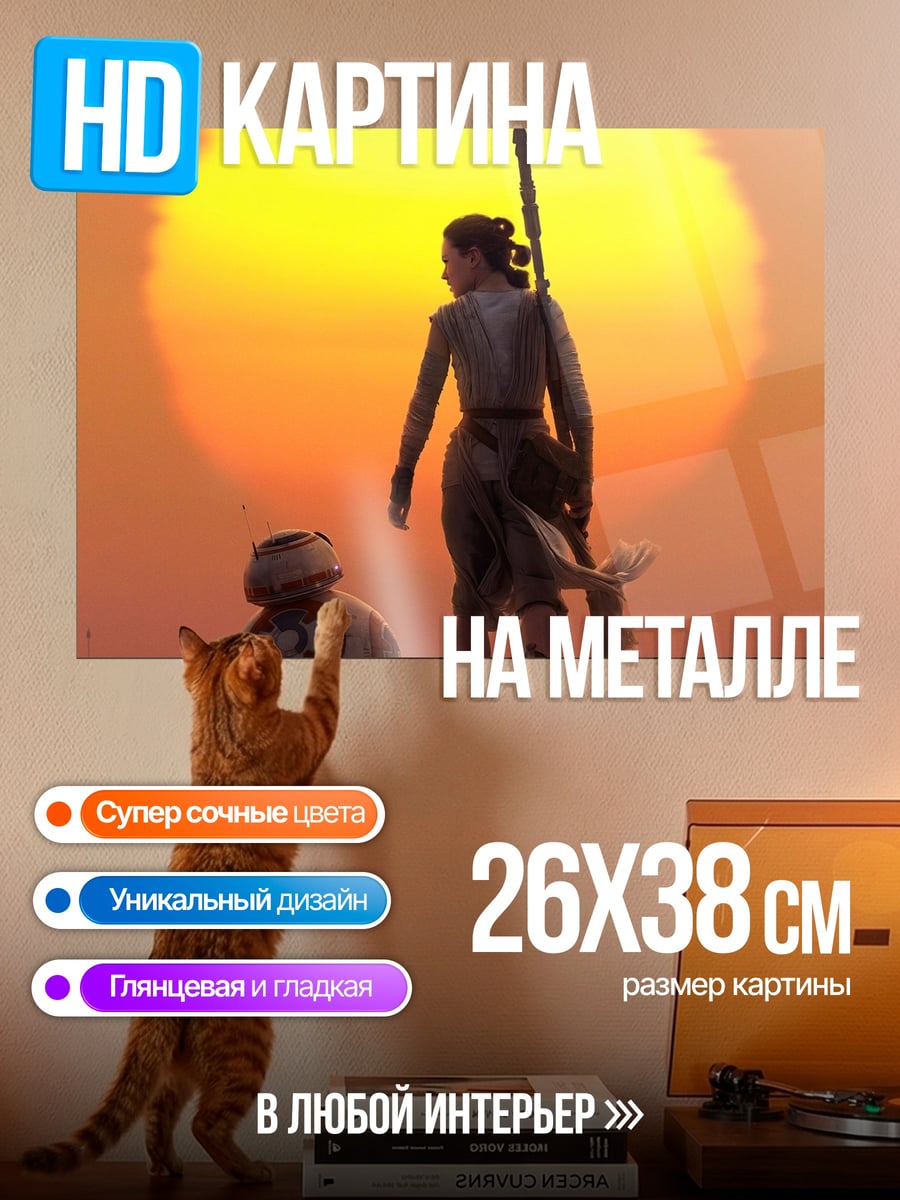 Картина на металле Рей и BB-8