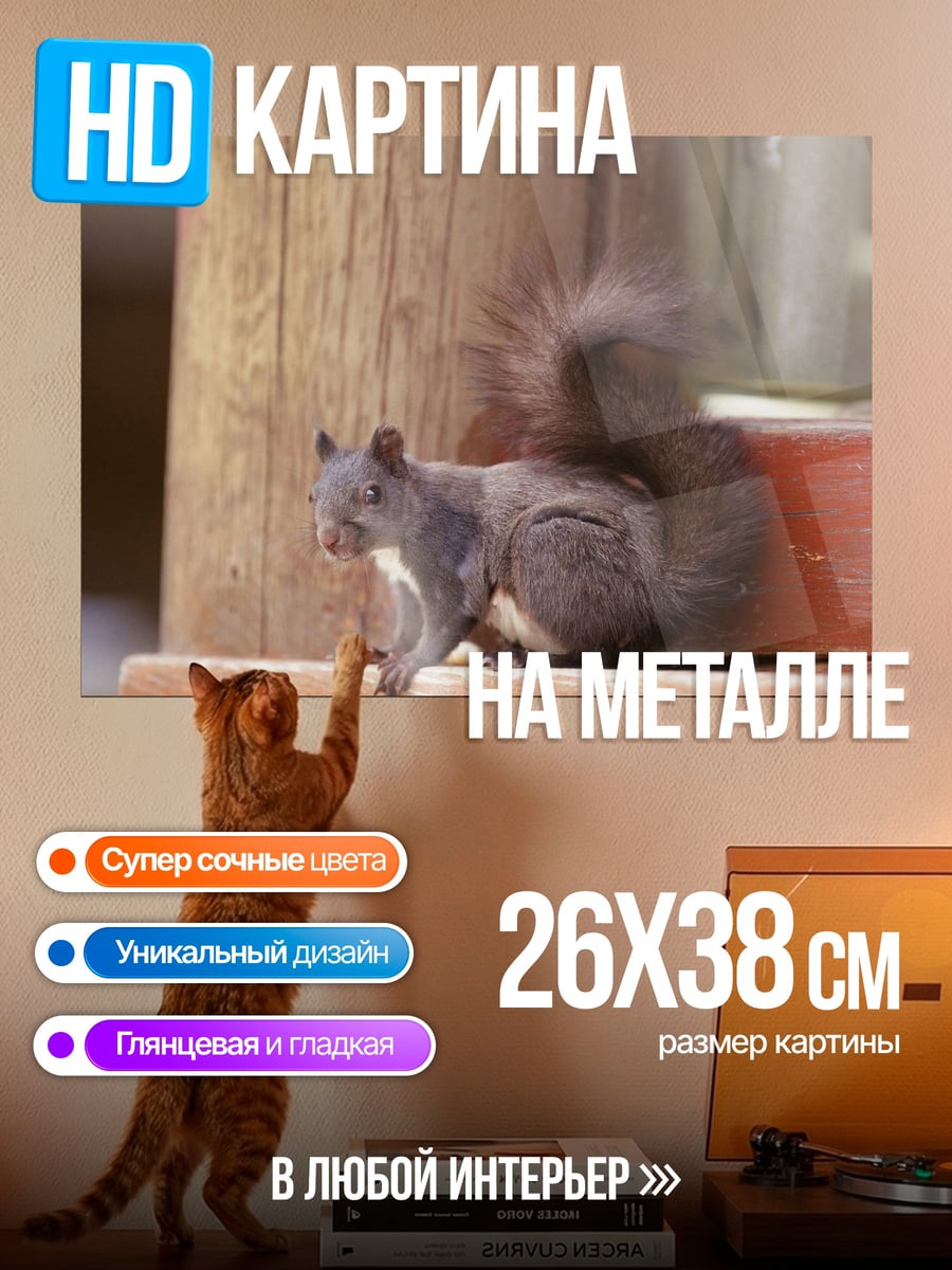 Картина на металле Рыжая белка