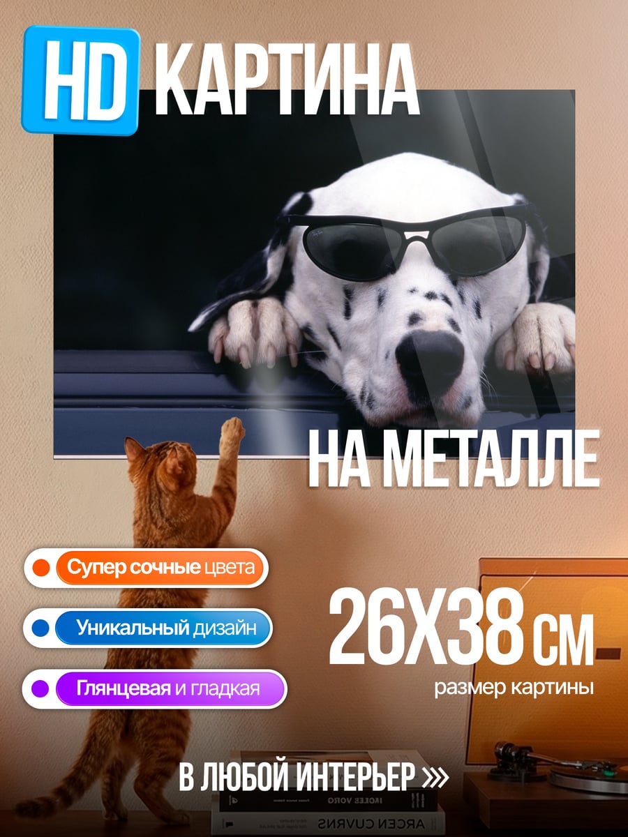 Картина на металле Собака в очках