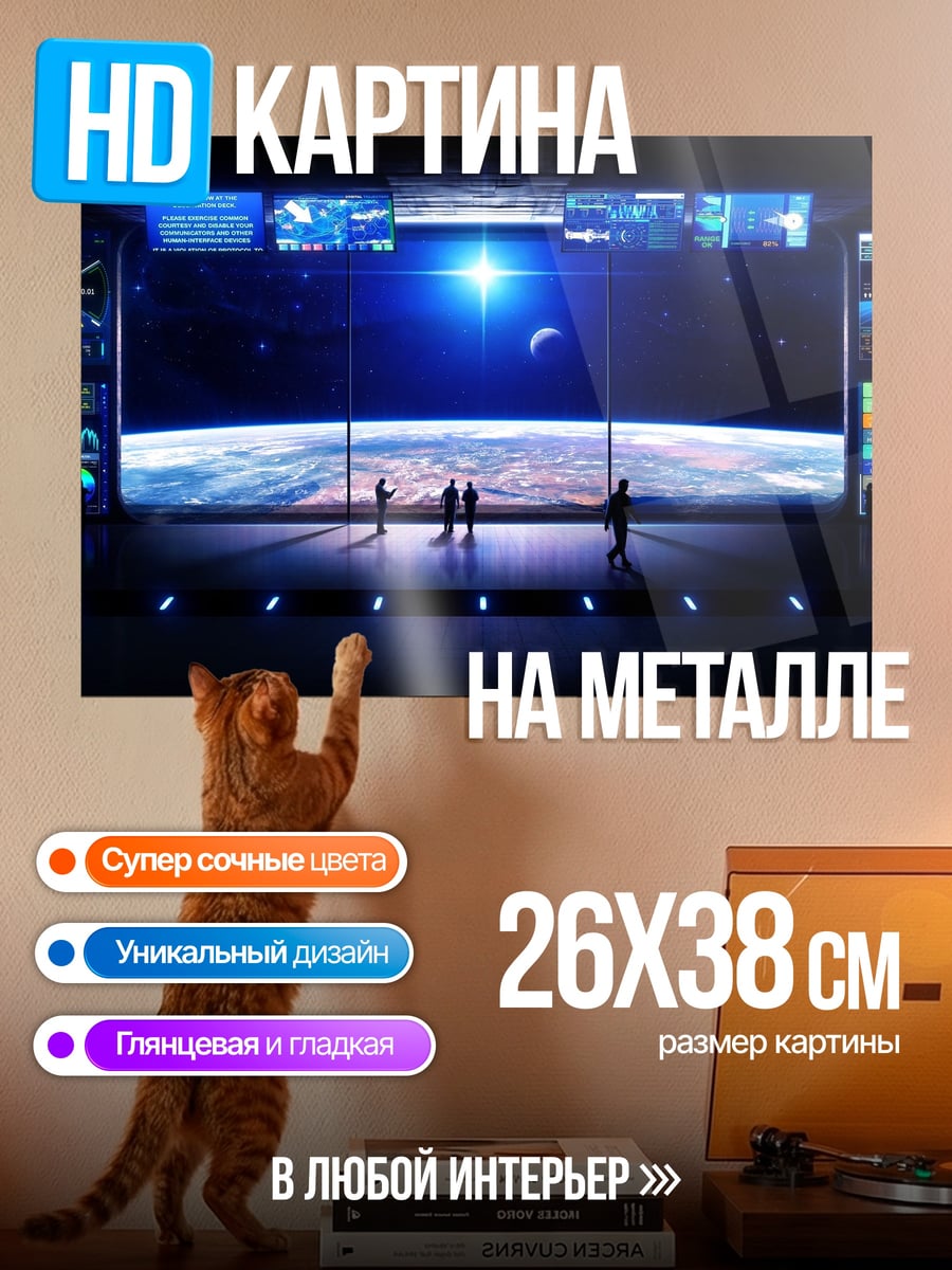 Картина на металле Космическая станция Земля