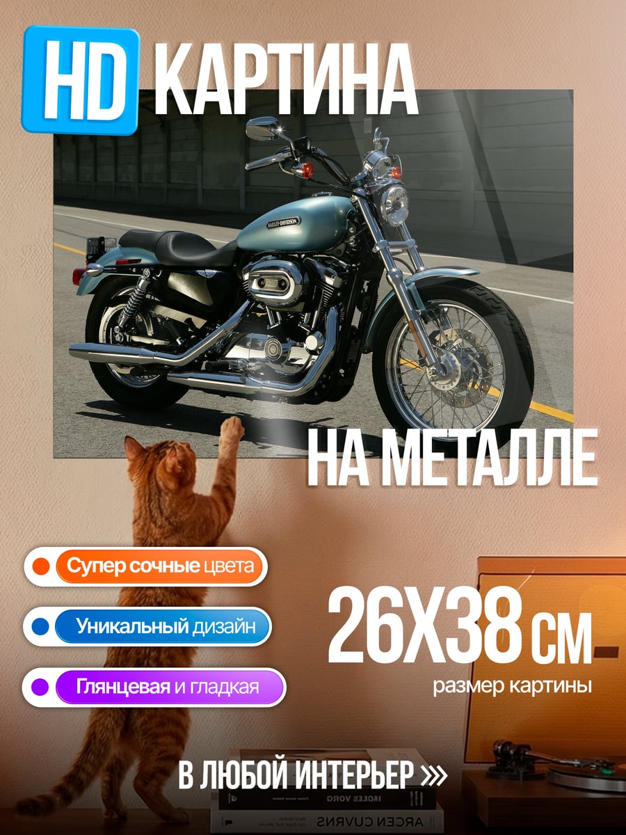 Картина на металле чоппер на дороге