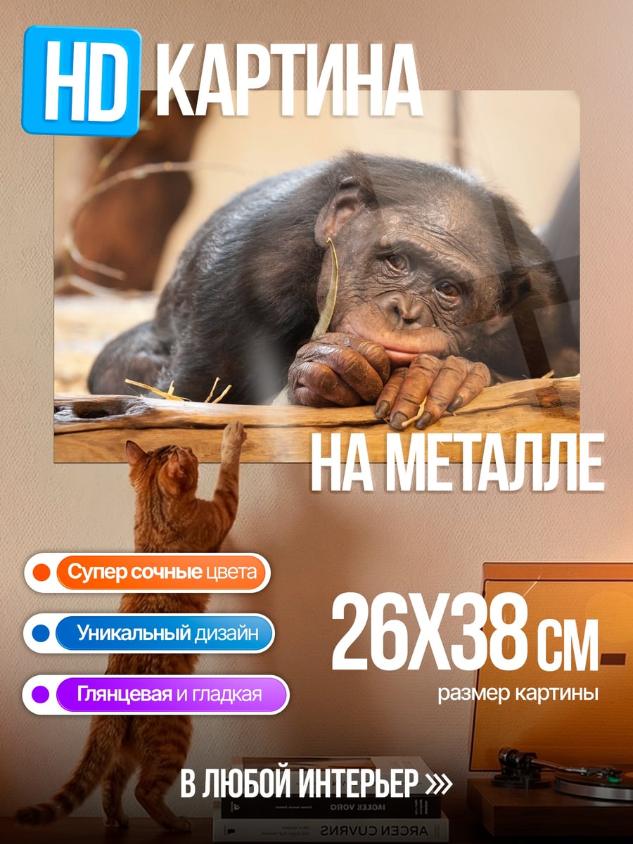Картина на металле Грустная обезьяна