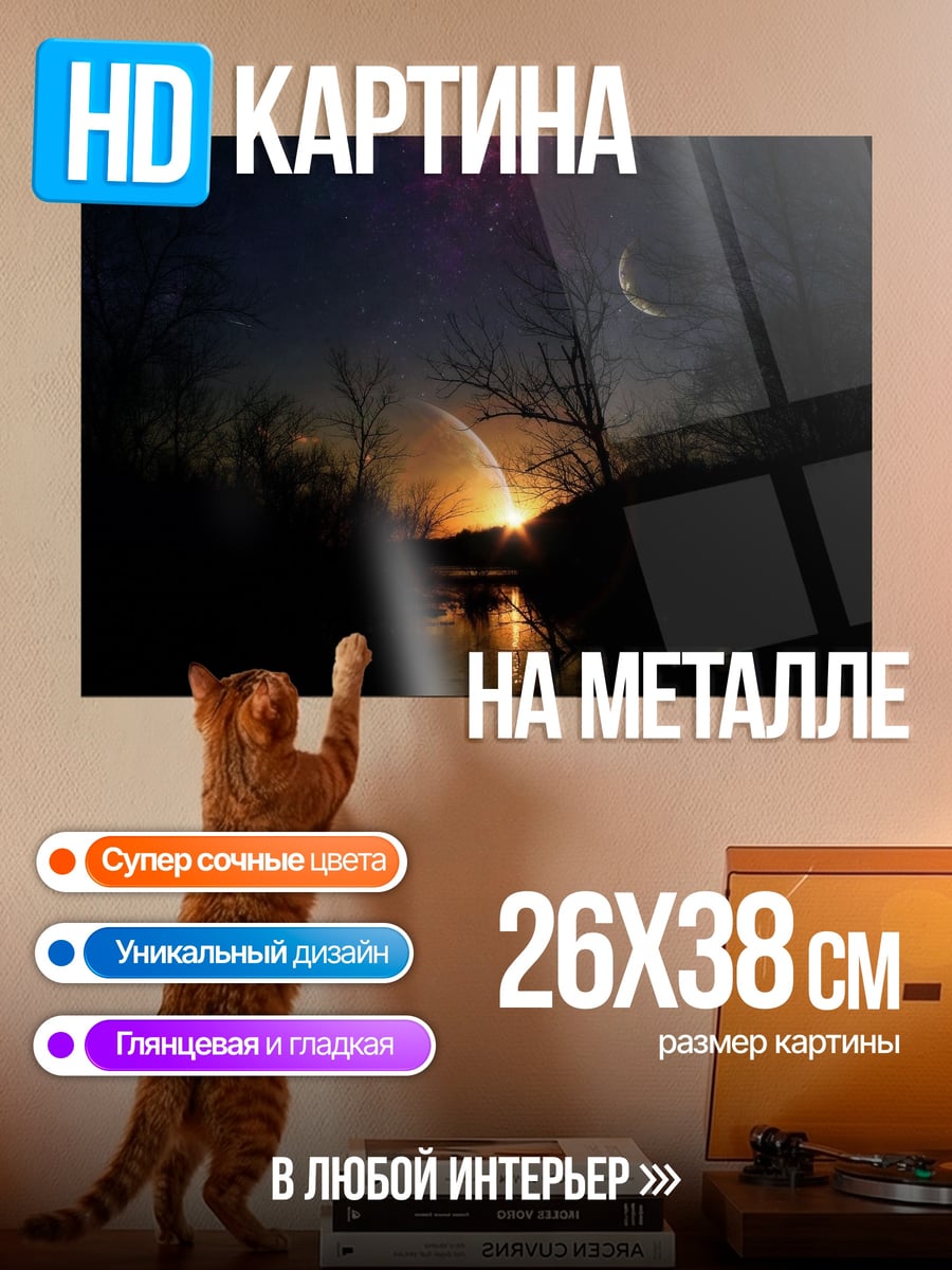 Картина на металле Ночной лес