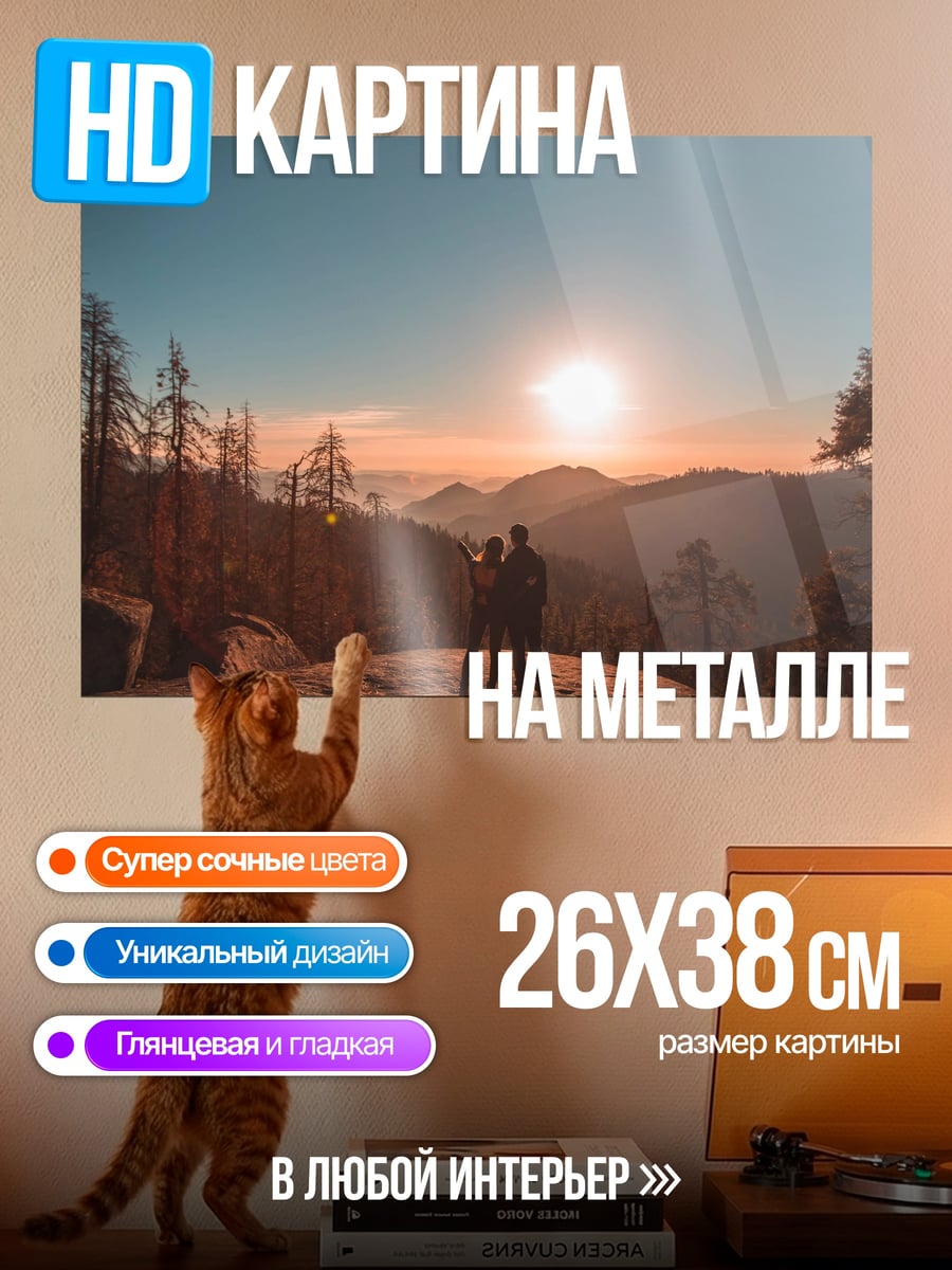 Картина на металле пара на закате