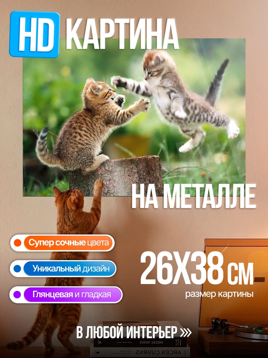 Картина на металле Два котенка играют