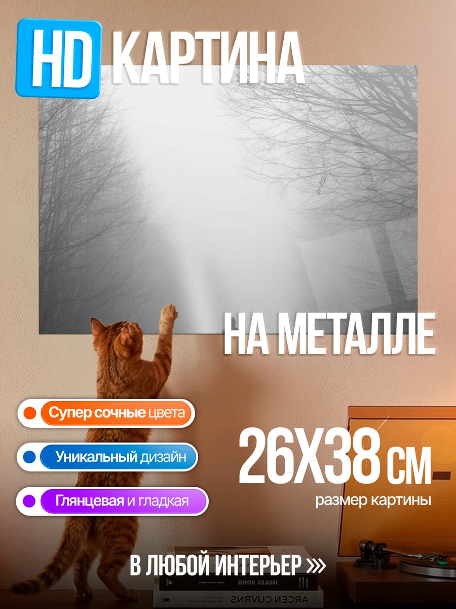 Картина на металле человек в туманном лесу