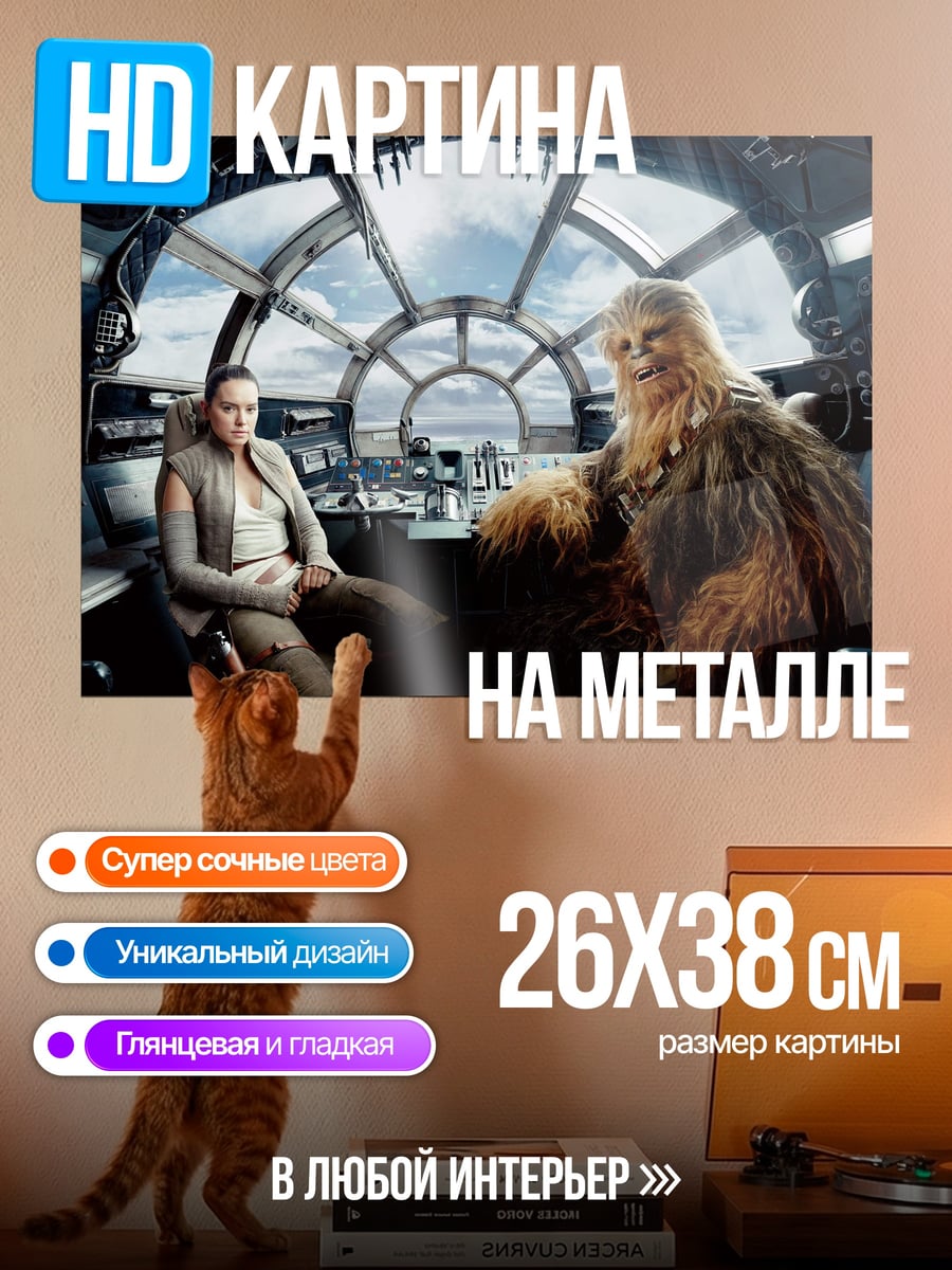 Картина на металле Рей и Чубакка