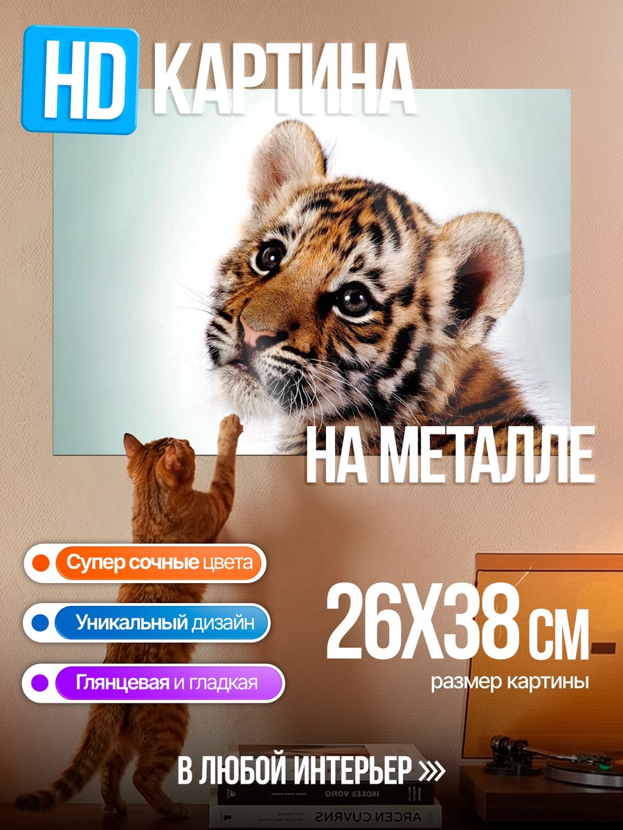 Картина на металле Тигренок смотрит