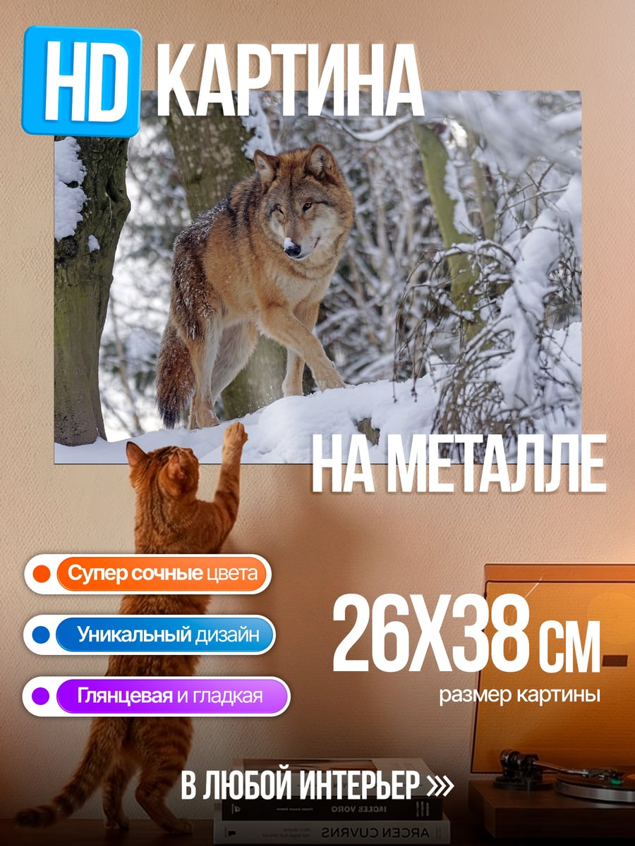 Картина на металле волк в снегу