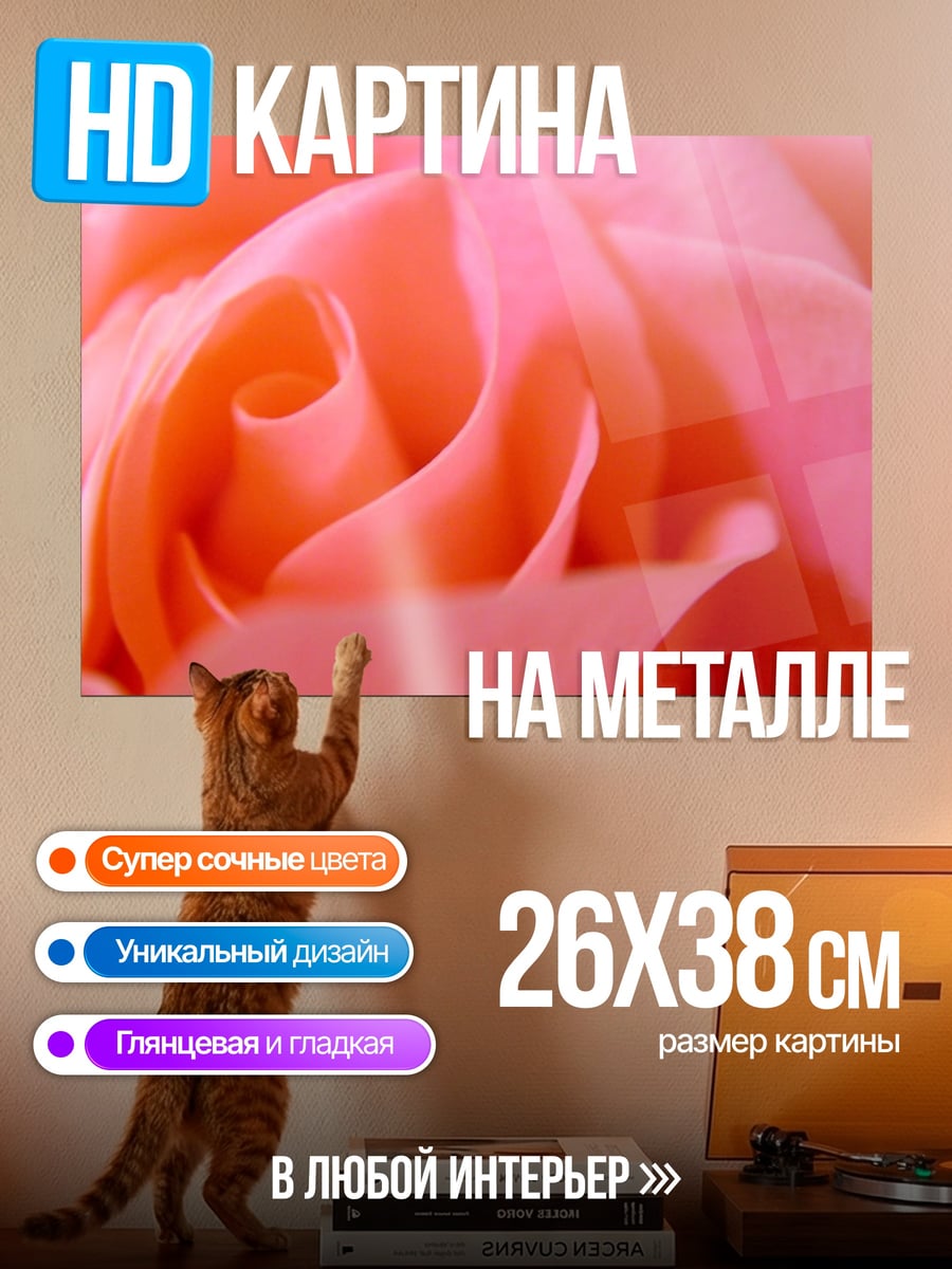 Картина на металле розовый цветок крупным планом