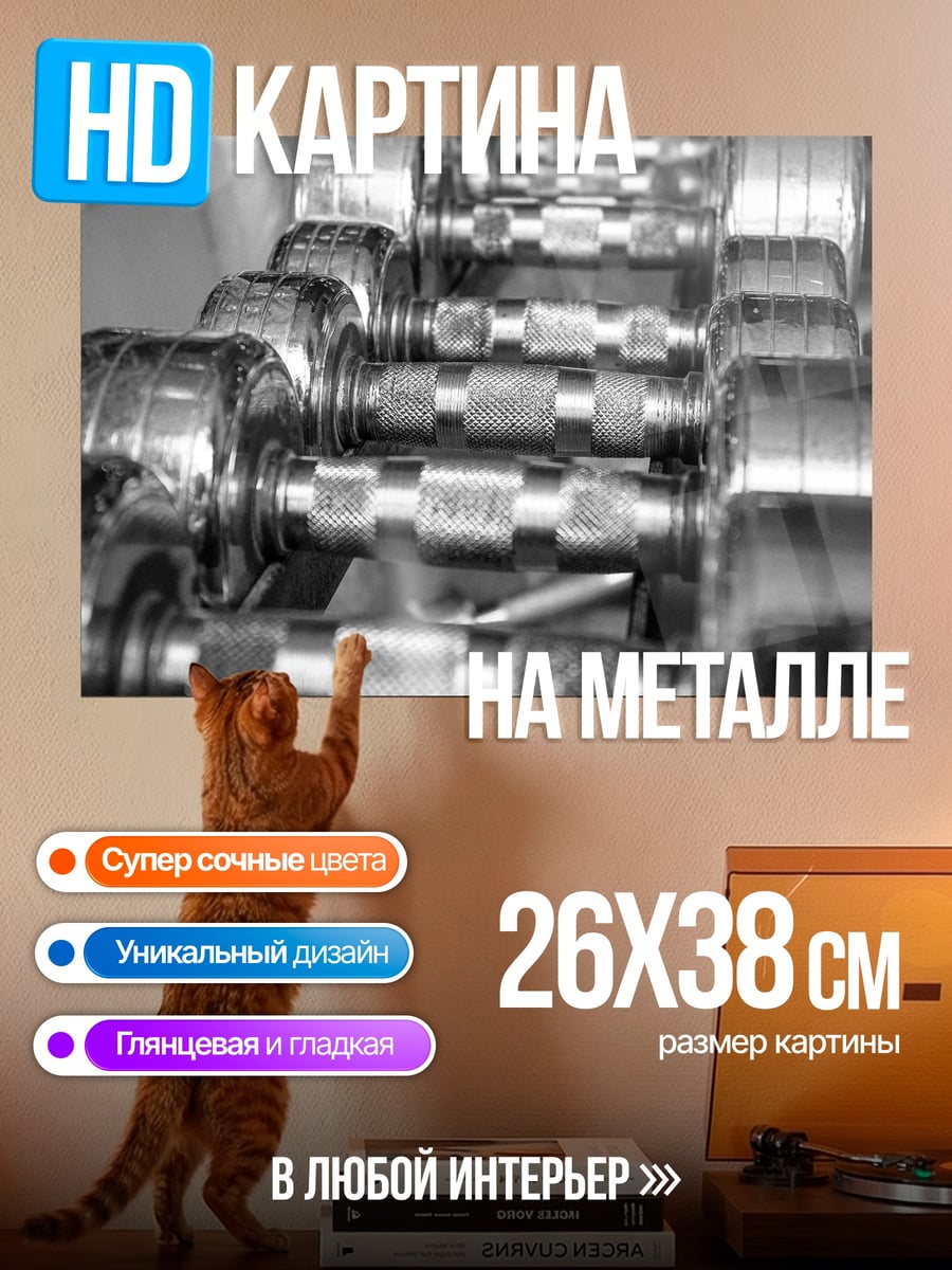 Картина на металле гантели в зале