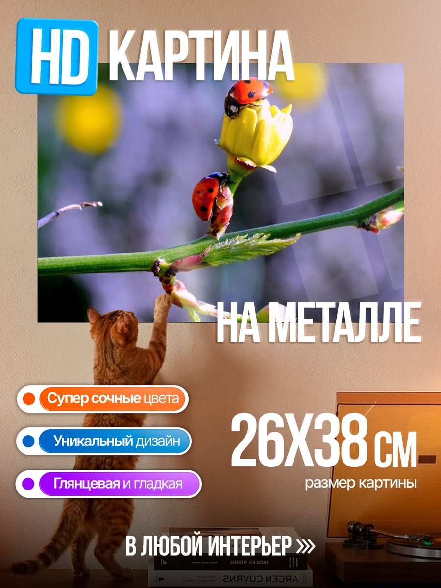 Картина на металле божьи коровки на цветке