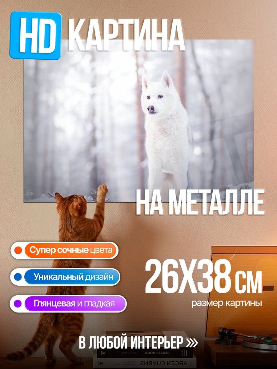 Картина на металле Белый волк зимой
