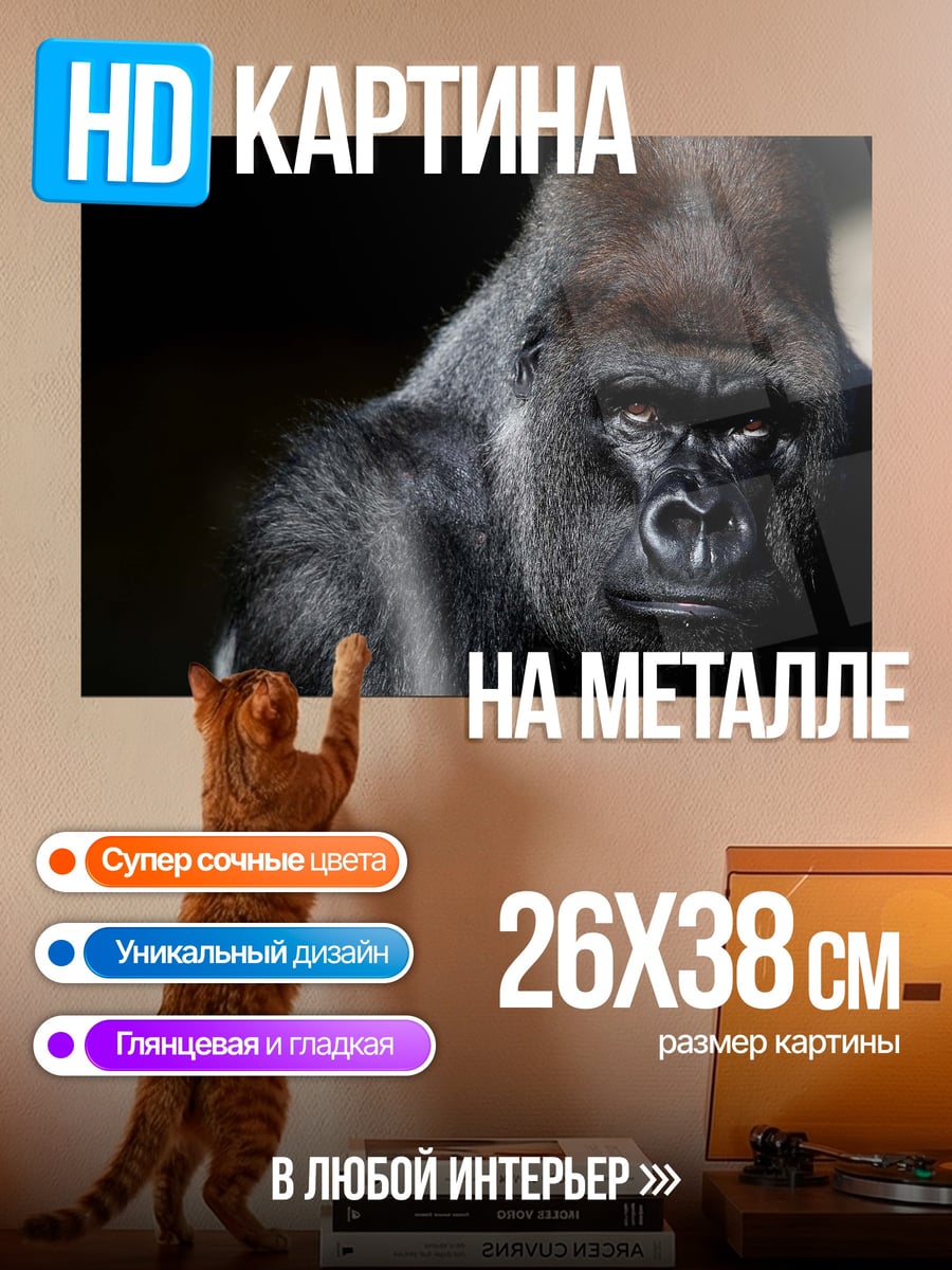 Картина на металле Крупный план гориллы