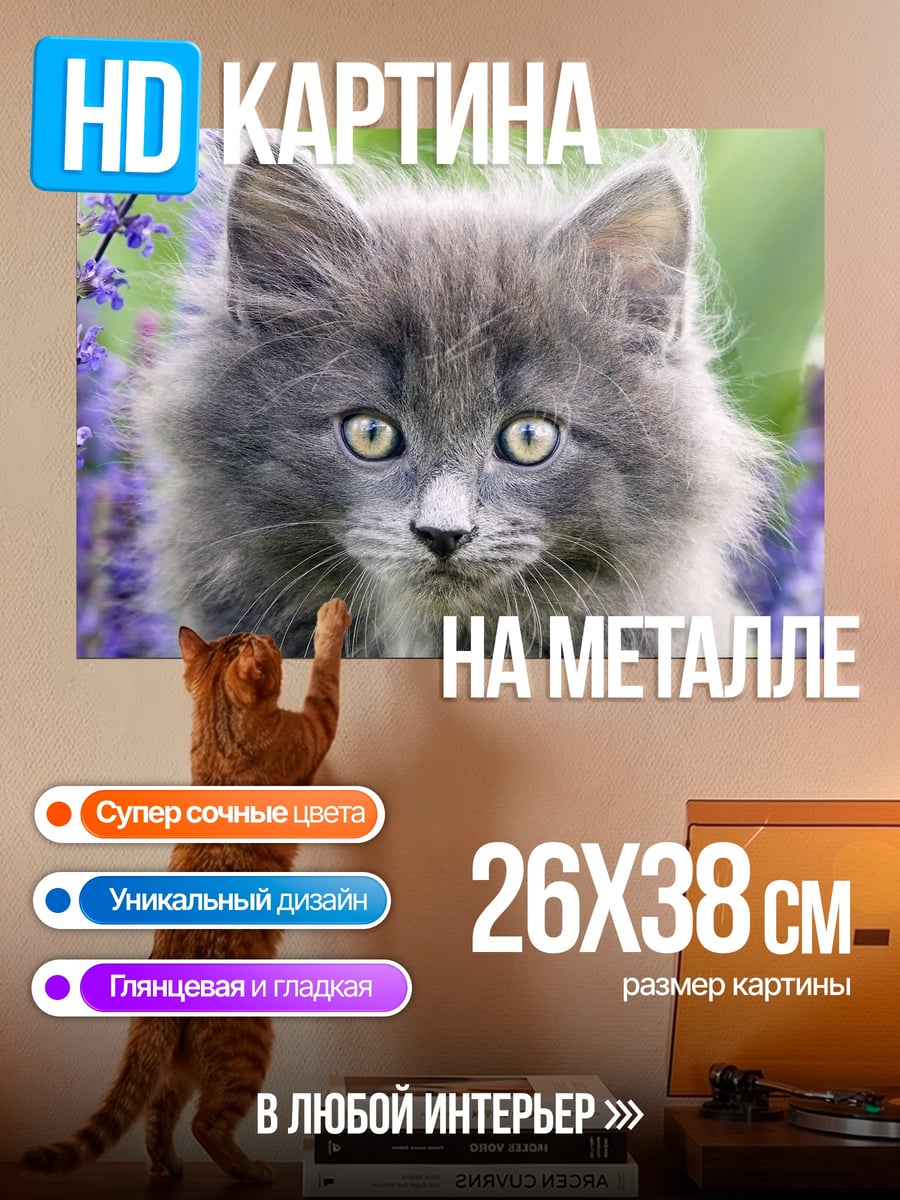 Картина на металле Пушистый котёнок в цветах