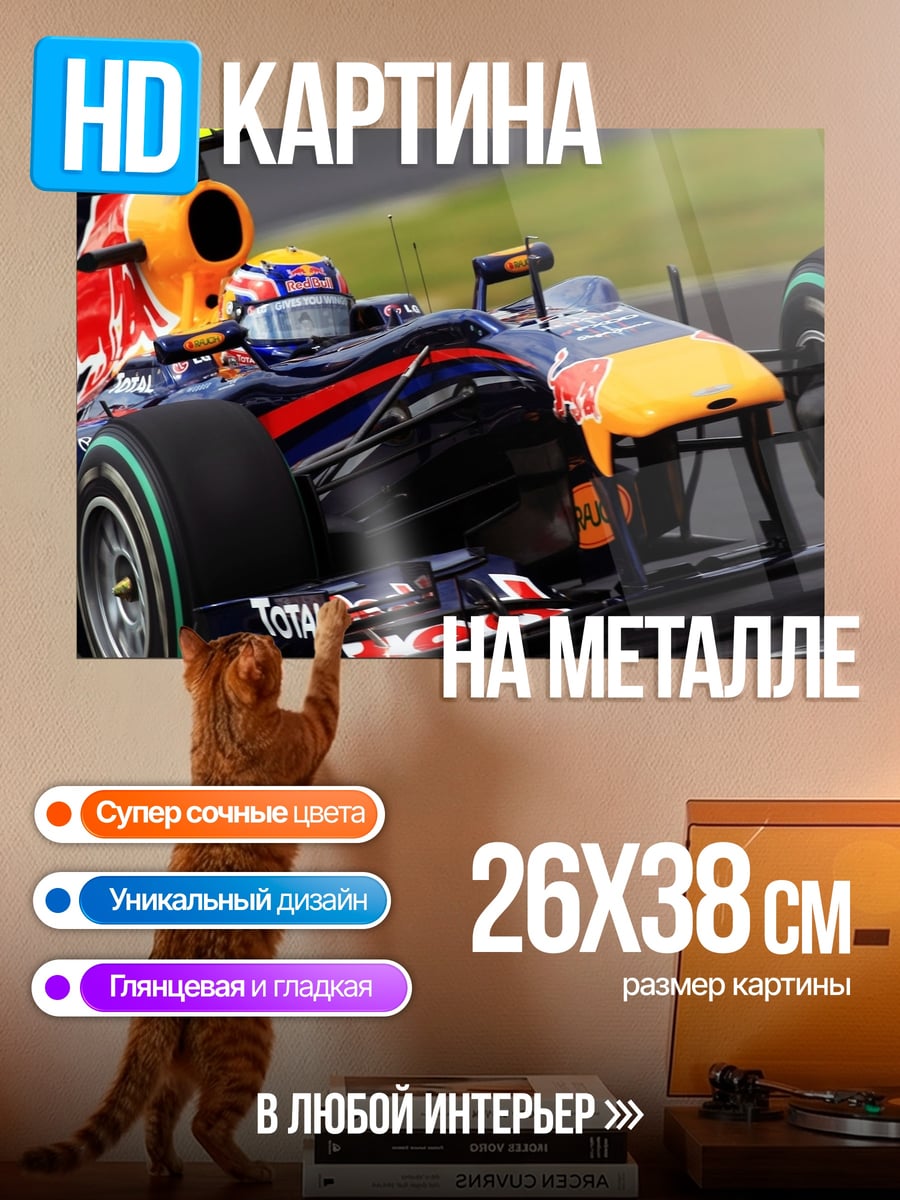Картина на металле Гоночный болид