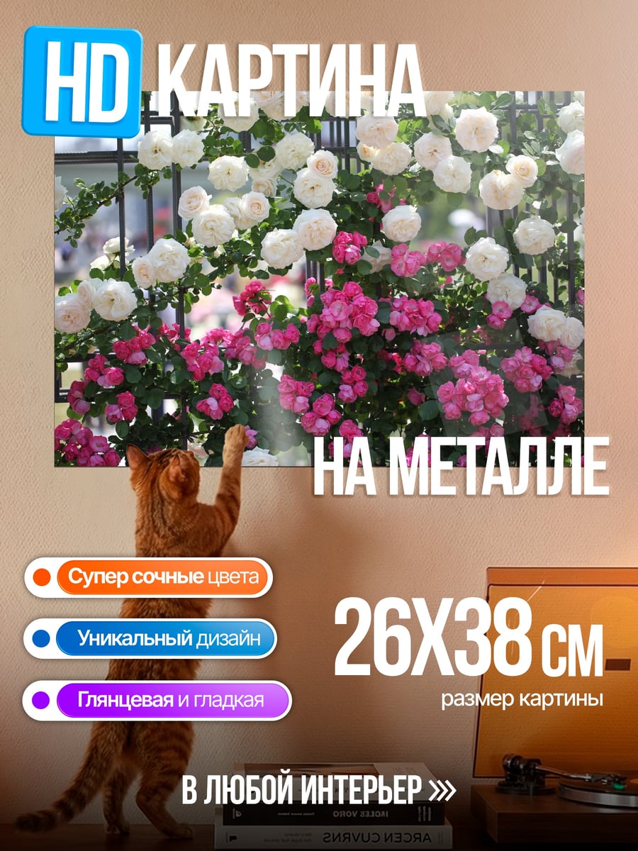 Картина на металле Белые и розовые розы