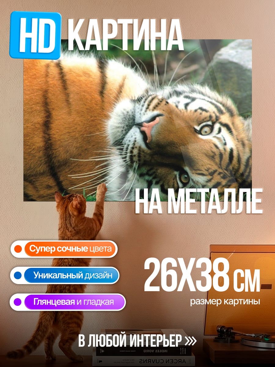Картина на металле Тигр лежит на траве