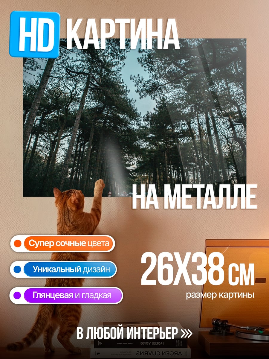 Картина на металле Лесная дорога