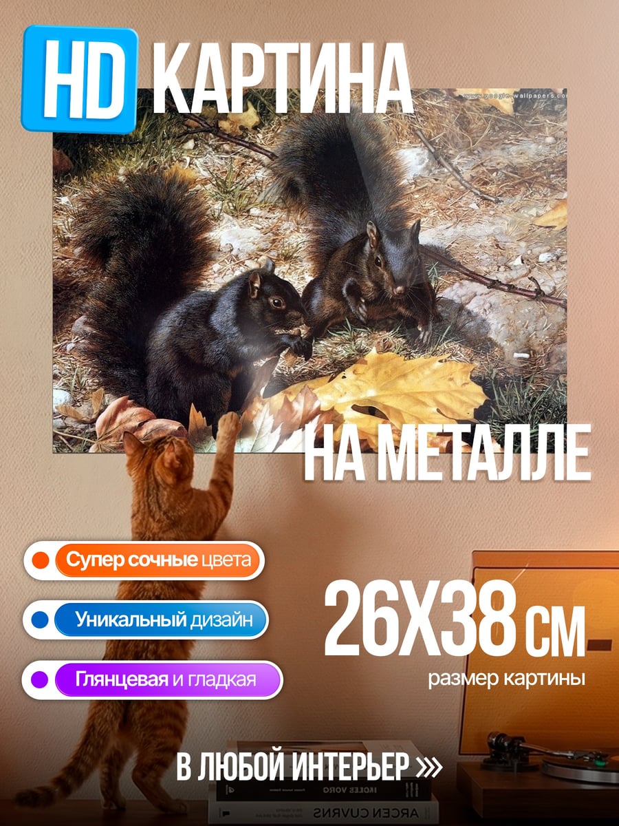 Картина на металле Два черных бельчонка