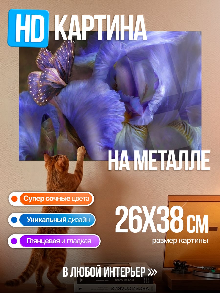 Картина на металле Фиолетовый ирис с бабочкой