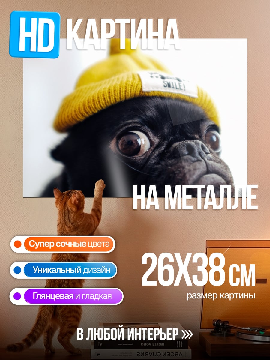 Картина на металле Мопс в шапке