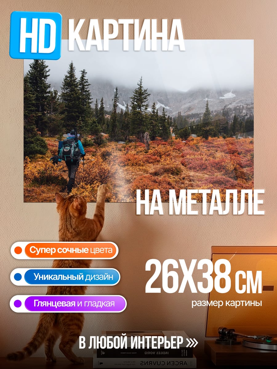 Картина на металле турист в осеннем лесу