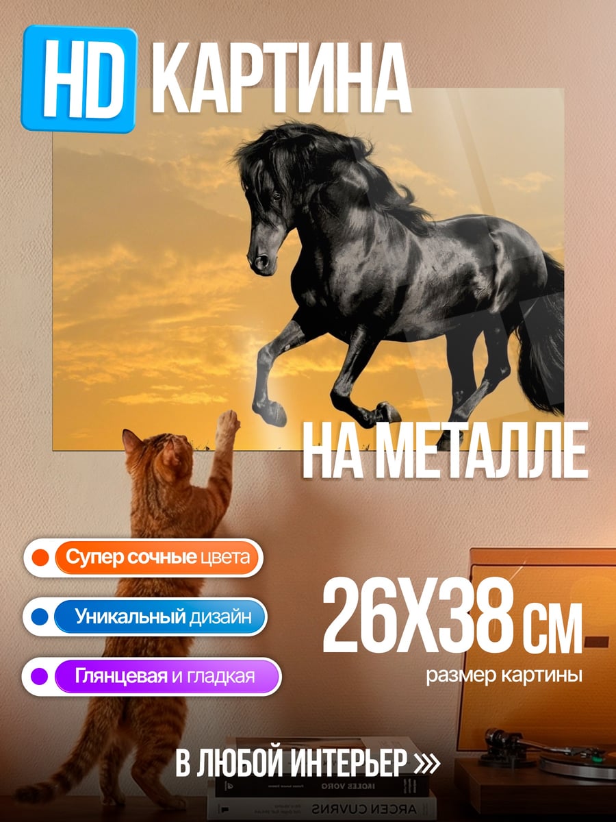 Картина на металле черный конь на закате