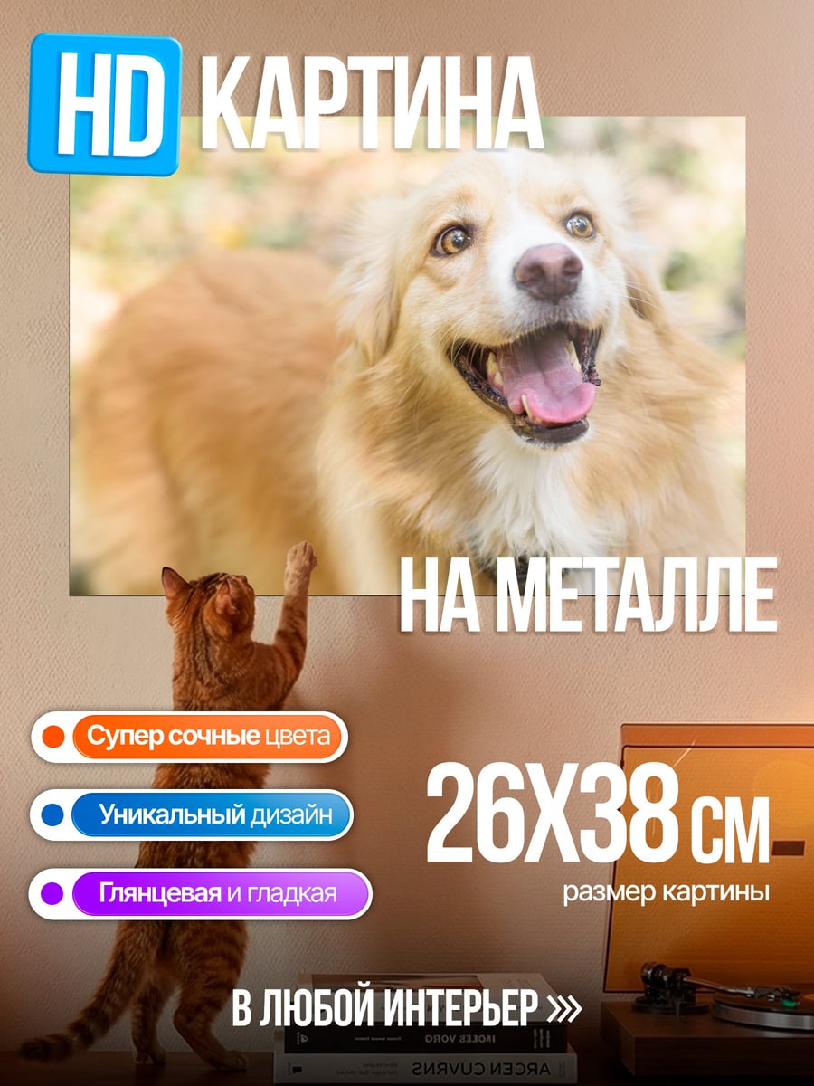 Картина на металле Счастливая собака лает