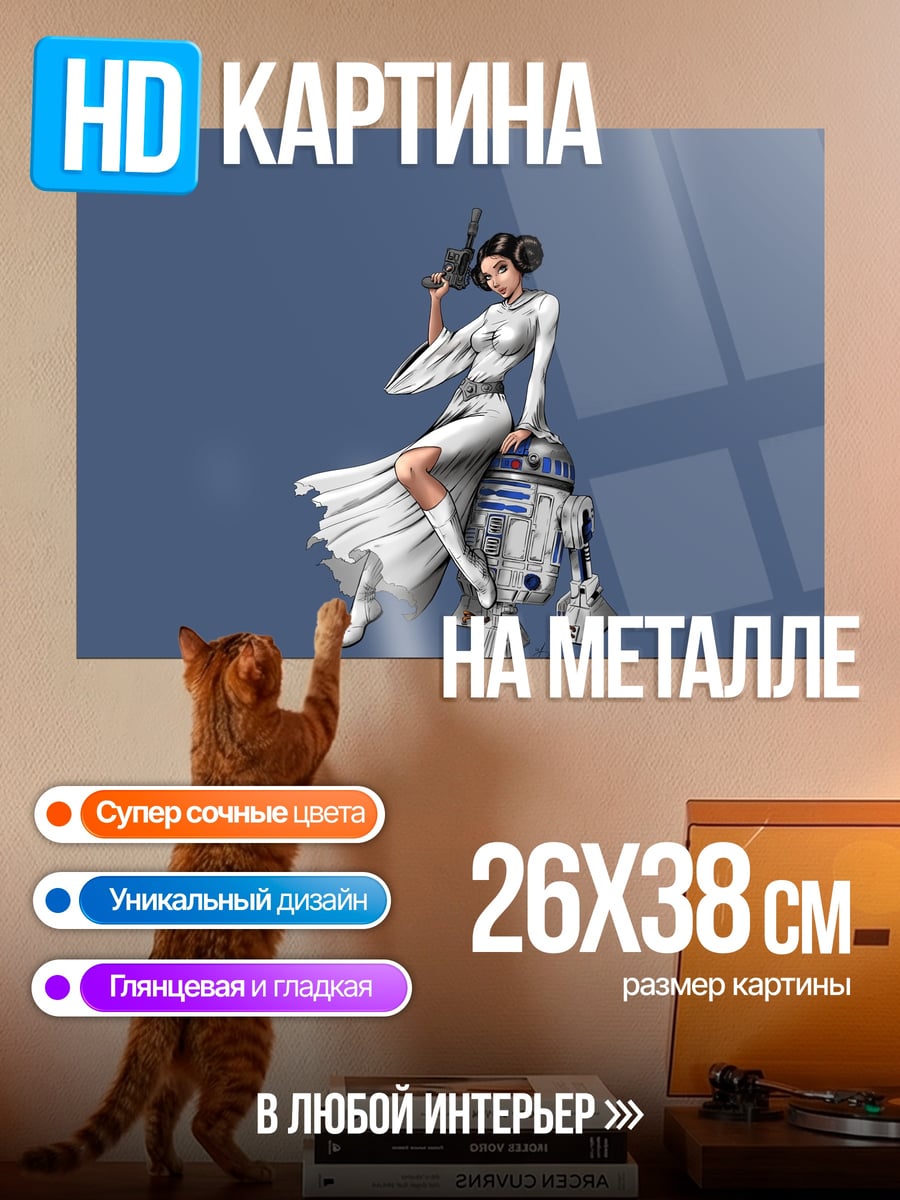 Картина на металле Принцесса Лея дроиде
