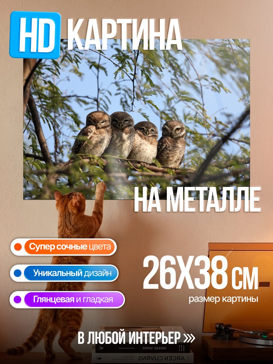 Картина на металле четыре совы