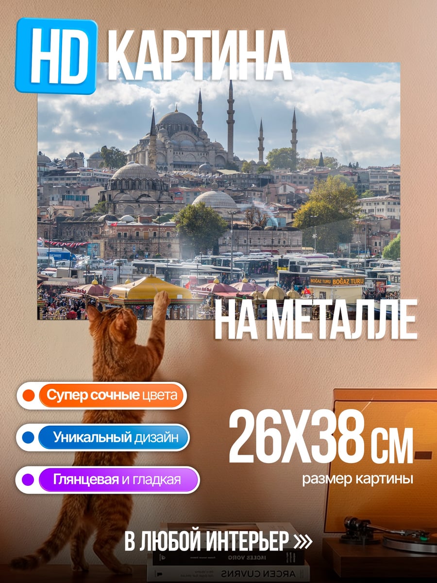 Картина на металле Стамбул на закате