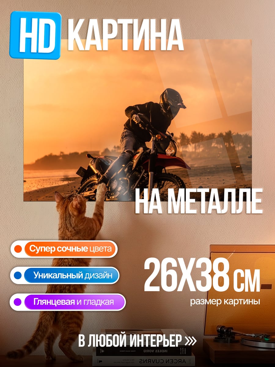 Картина на металле Мотоциклист на закате