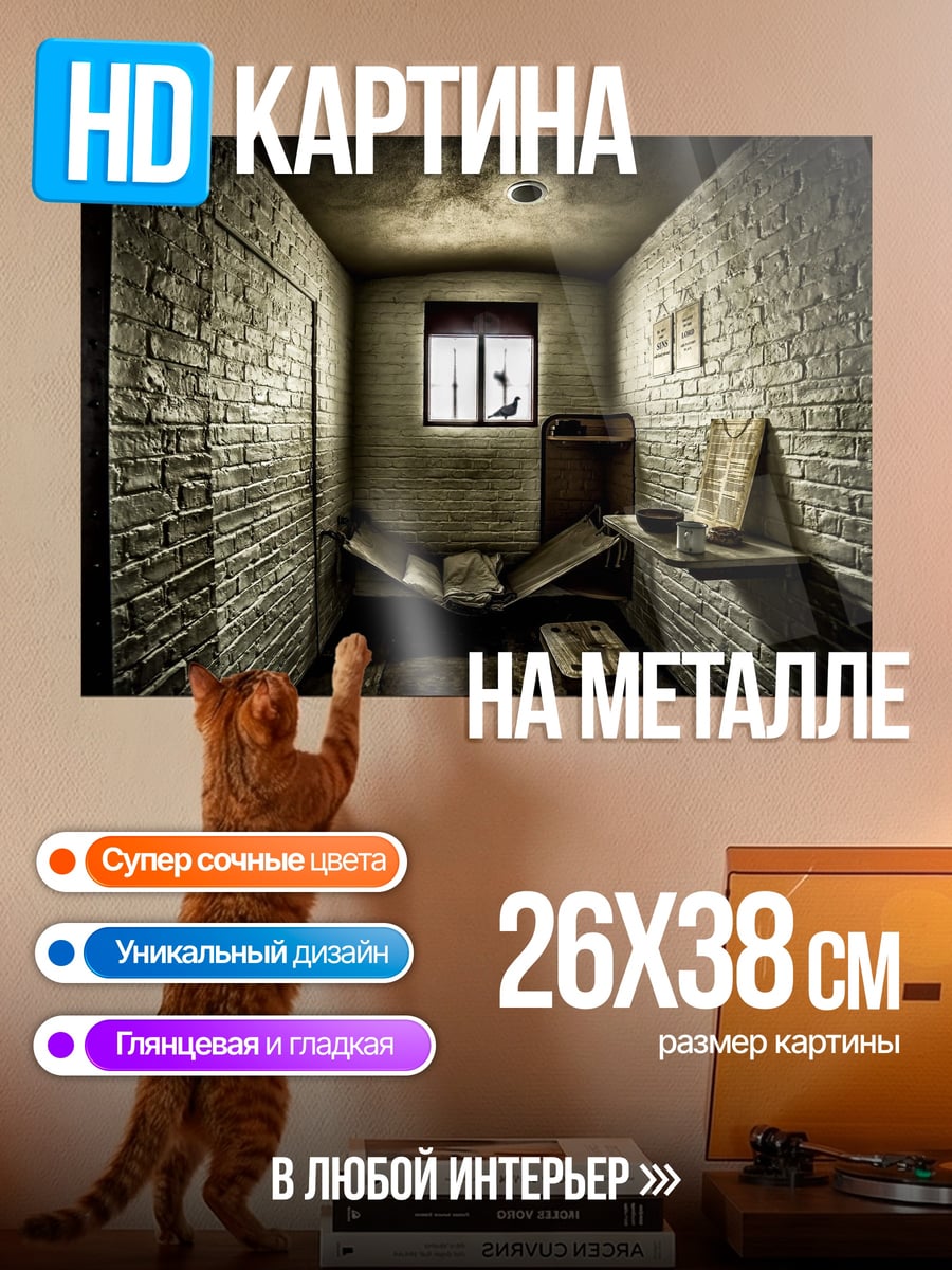 Картина на металле Пустая камера