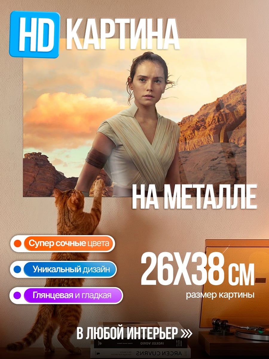 Картина на металле Рей Звездные Войны