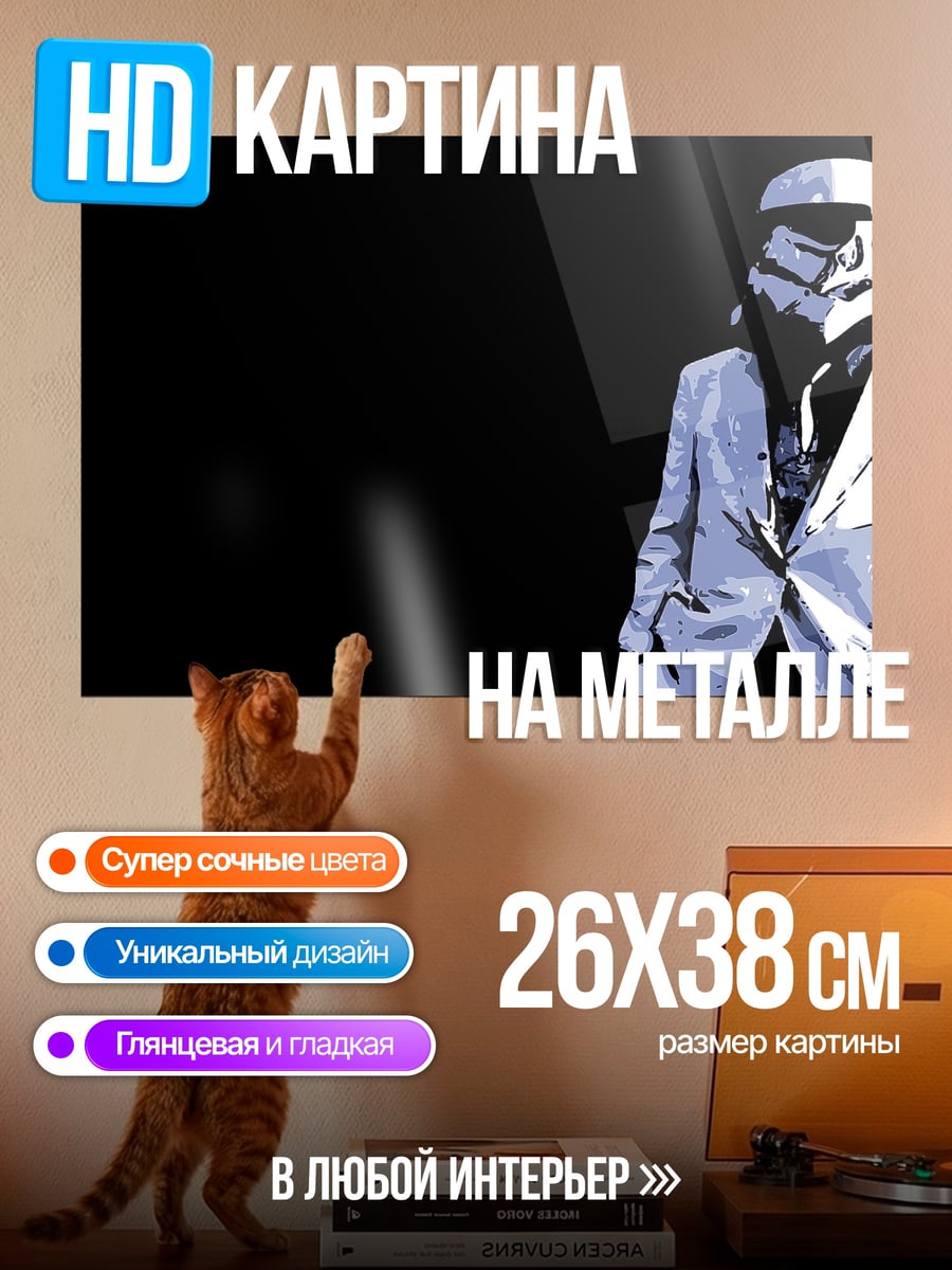 Картина на металле штурмовик в костюме