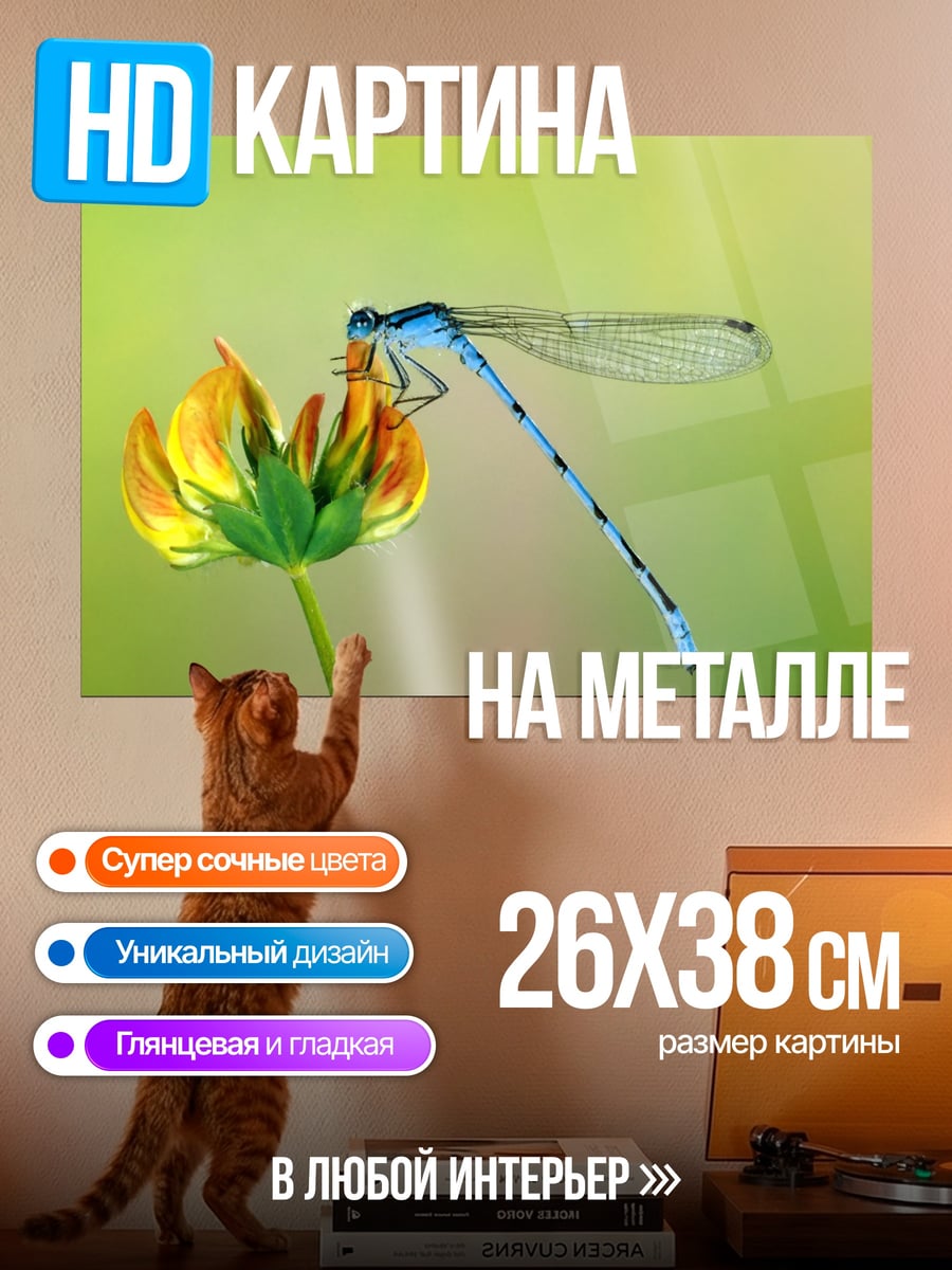 Картина на металле Стрекоза на цветке