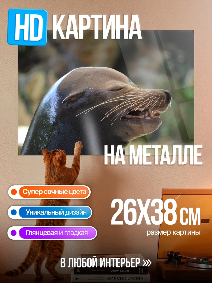 Картина на металле Морской лев