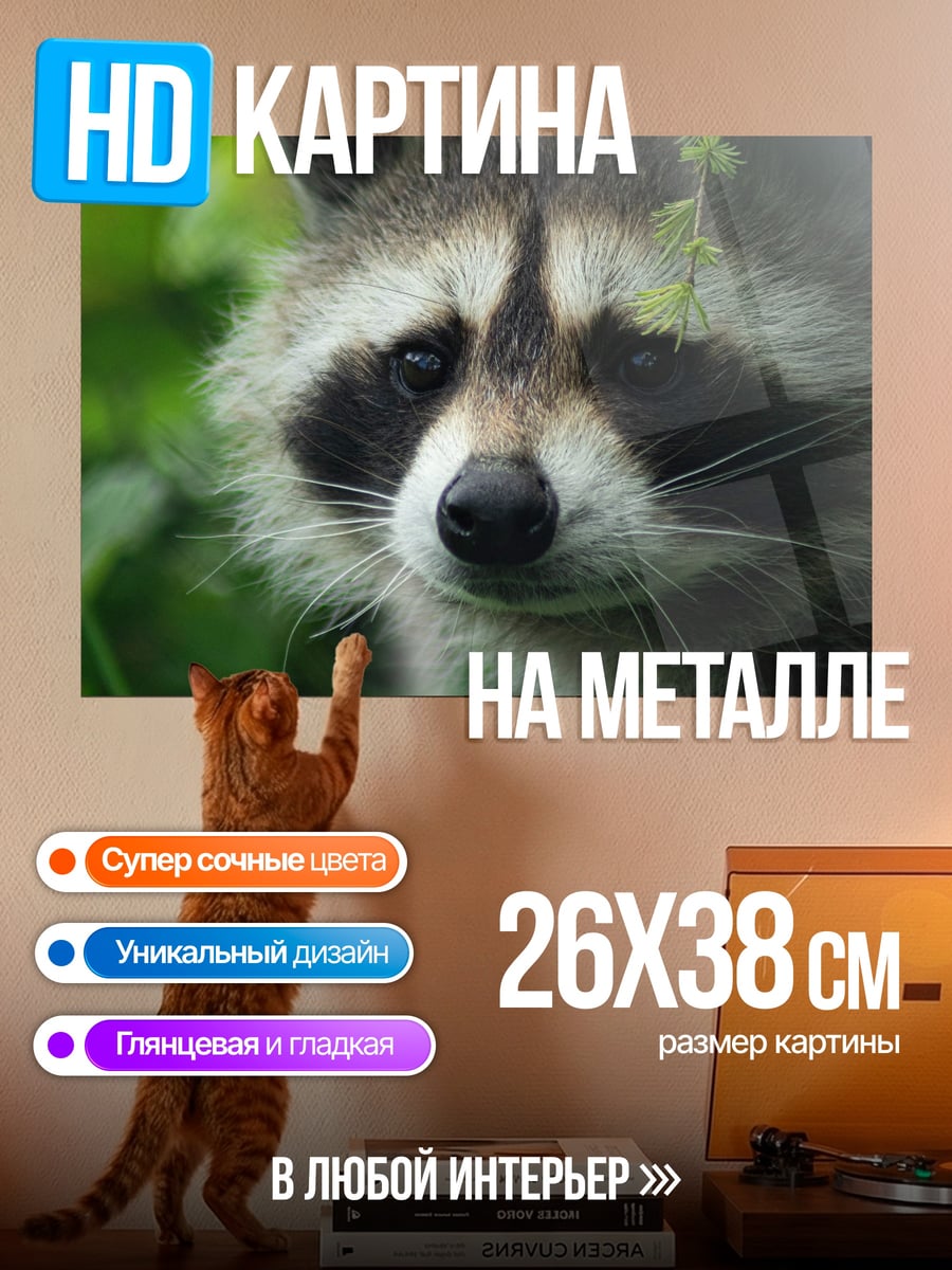 Картина на металле Енот в листве