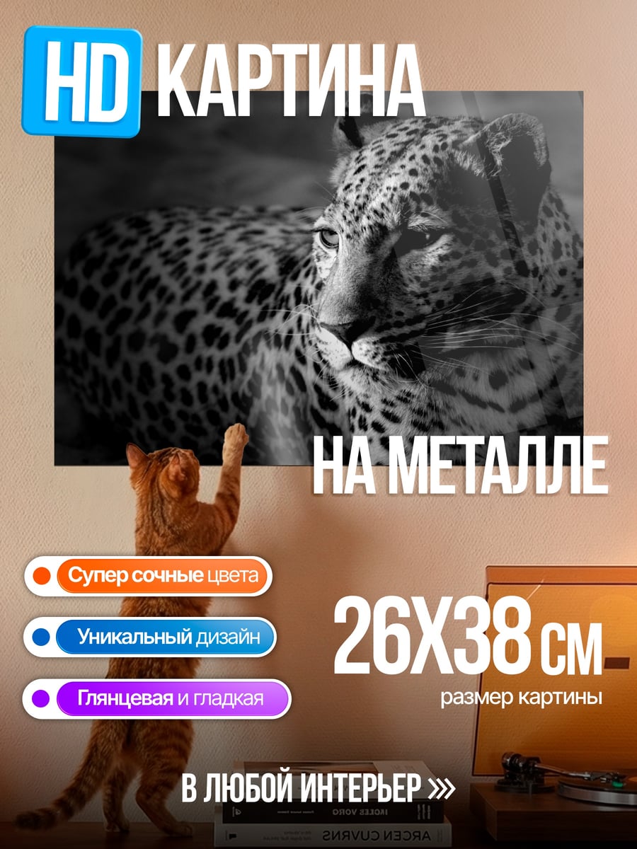 Картина на металле Леопард в тени