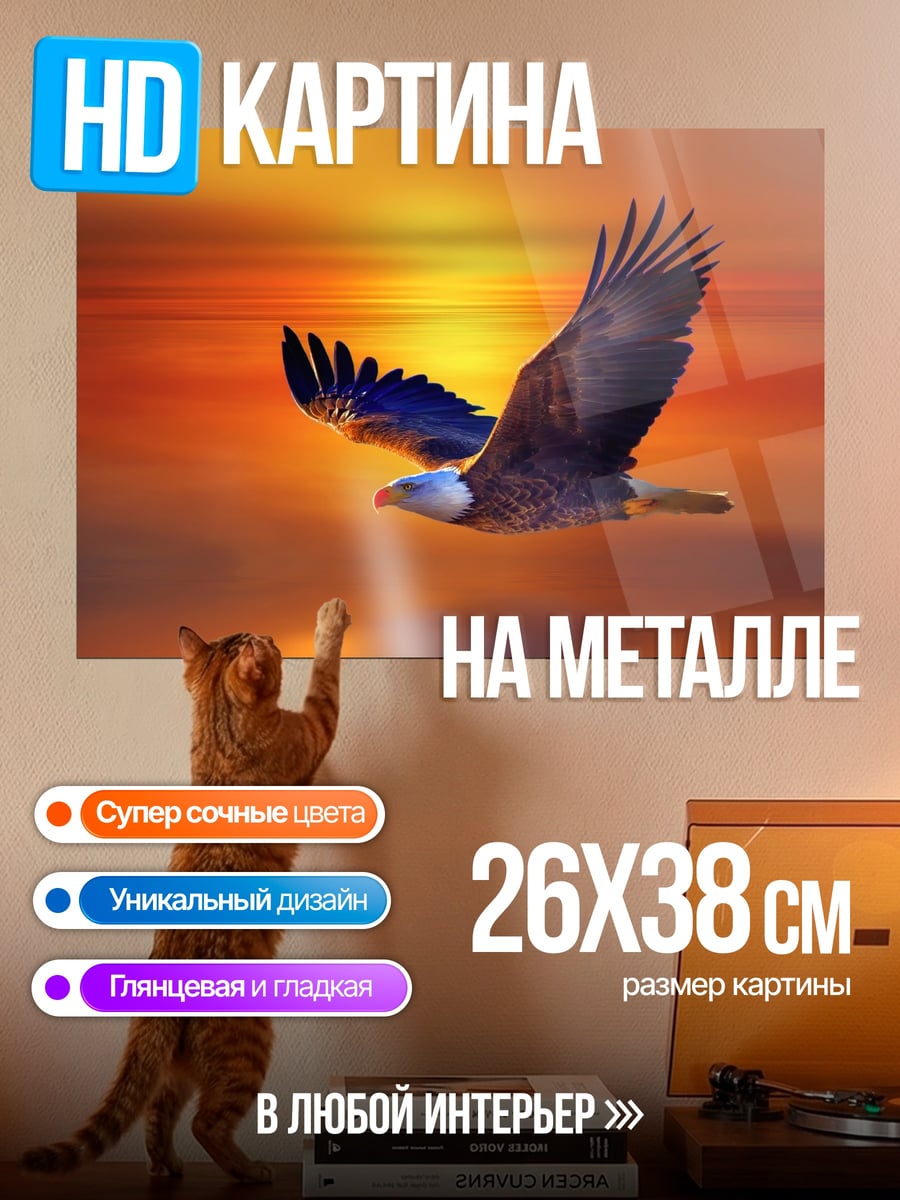 Картина на металле Орел на закате