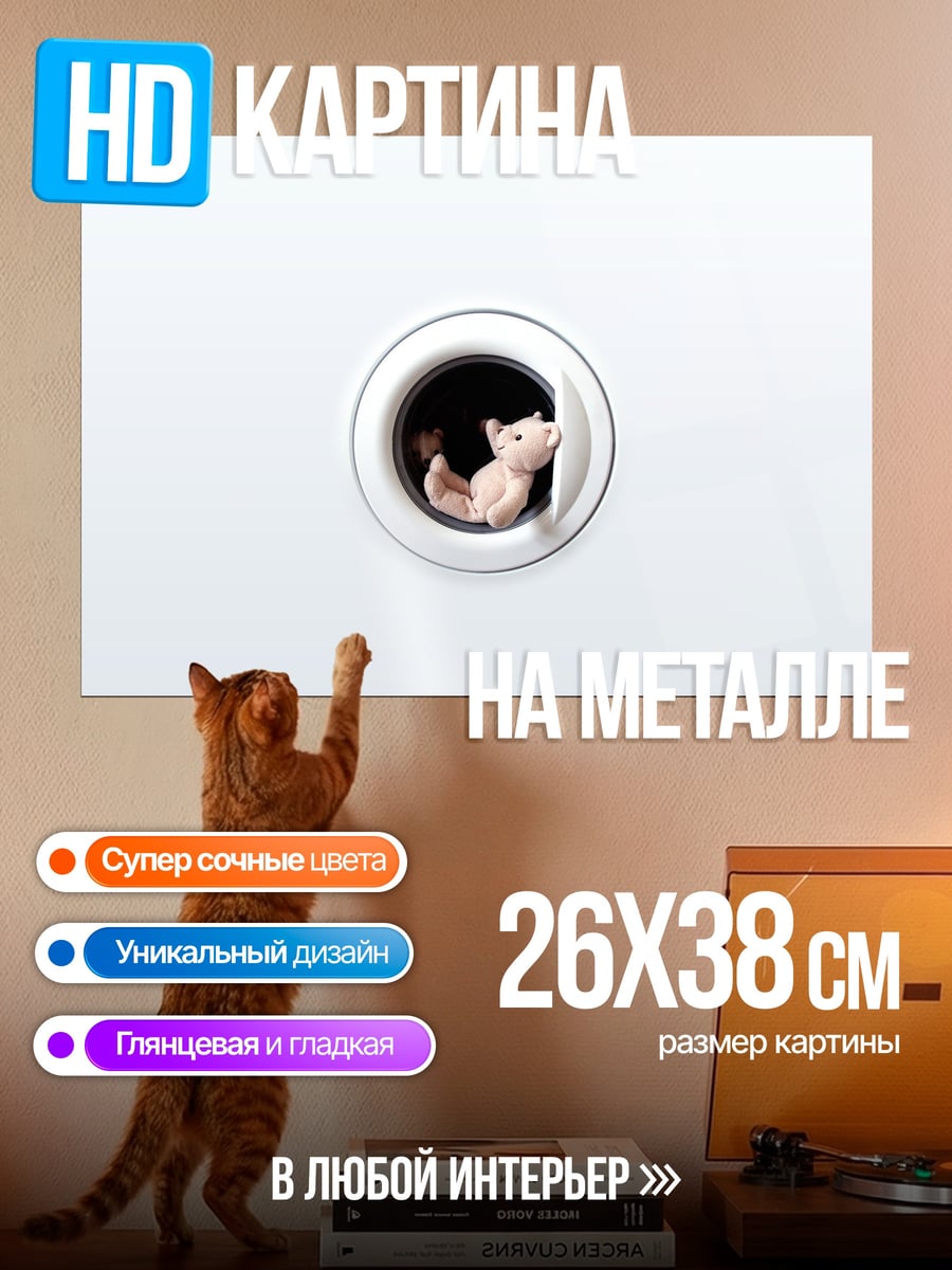 Картина на металле котенок в стиралке