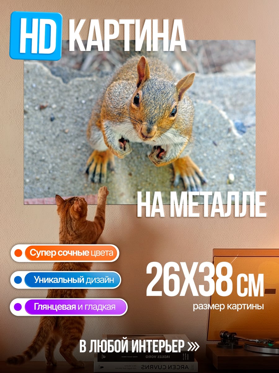 Картина на металле белка смотрит