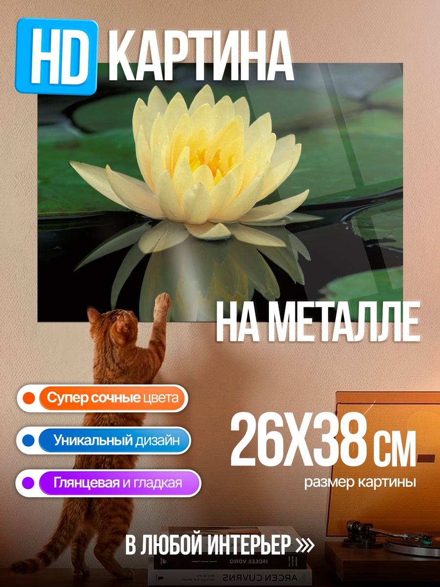 Картина на металле желтая кувшинка
