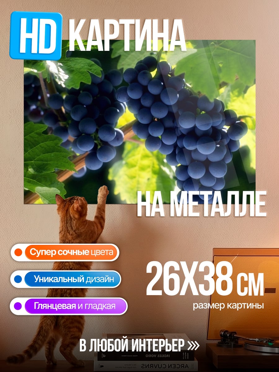 Картина на металле Виноградная лоза гроздь